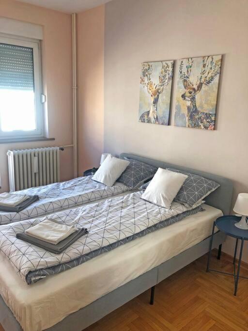 Quince Apartment-Free Parking-City Center Белград Экстерьер фото